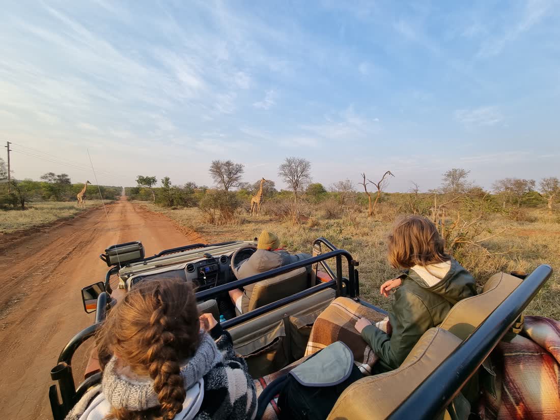 Jeepsafari bij Hoedspruit in Zuid-Afrika